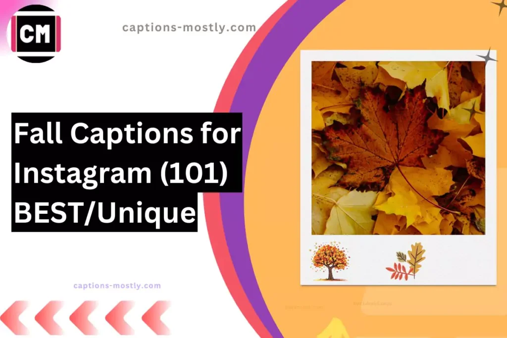 image of fall in a frame with same overlay text fall captions forinsta